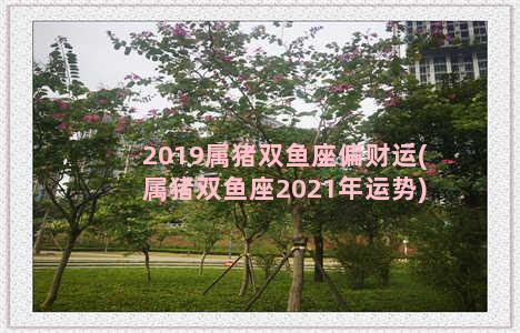 2019属猪双鱼座偏财运(属猪双鱼座2021年运势)