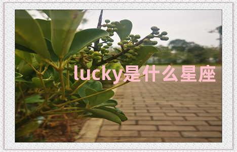 lucky是什么星座