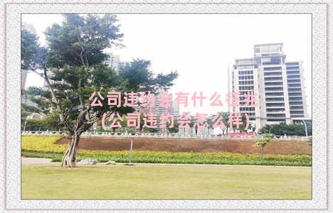 公司违约会有什么征兆(公司违约会怎么样)