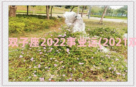 双子座2022事业运(2021双子座事业运)