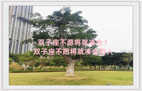 双子座不愿将就凑合？双子座不愿将就凑合的人