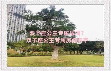 双子座公主专属房间？双子座公主专属房间名字