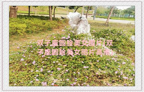 双子座圆脸美女图片(双子座圆脸美女图片高清)