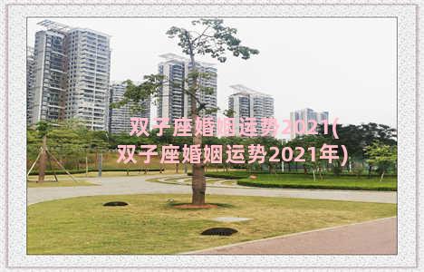 双子座婚姻运势2021(双子座婚姻运势2021年)