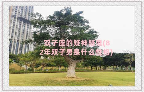 双子座的疑神疑鬼(82年双子男是什么性格)