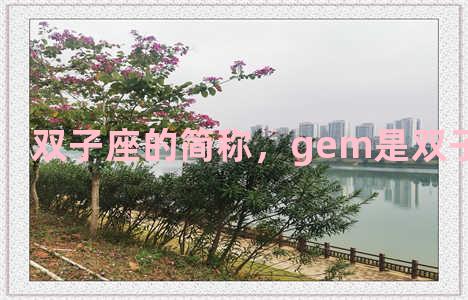 双子座的简称，gem是双子的缩写吗