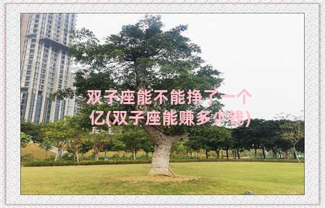 双子座能不能挣了一个亿(双子座能赚多少钱)