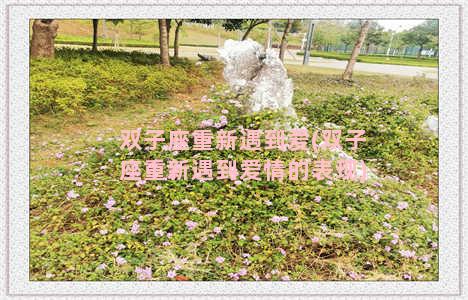 双子座重新遇到爱(双子座重新遇到爱情的表现)