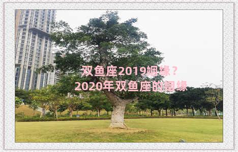 双鱼座2019姻缘？2020年双鱼座的姻缘