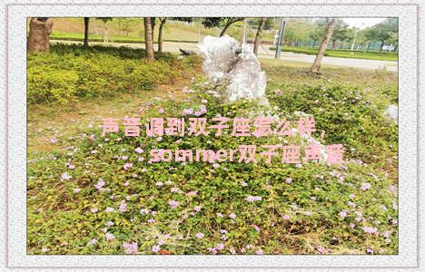 声音调到双子座怎么样，sommer双子座声音