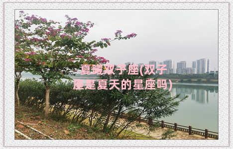 夏曦双子座(双子座是夏天的星座吗)