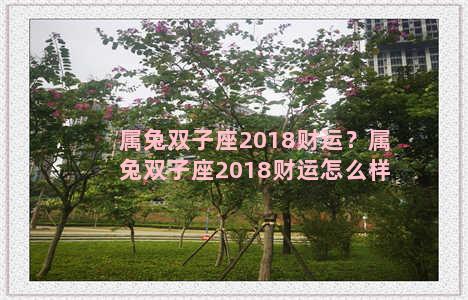 属兔双子座2018财运？属兔双子座2018财运怎么样