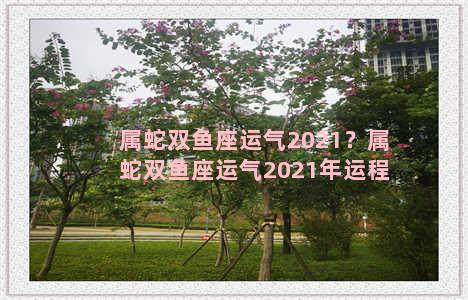 属蛇双鱼座运气2021？属蛇双鱼座运气2021年运程