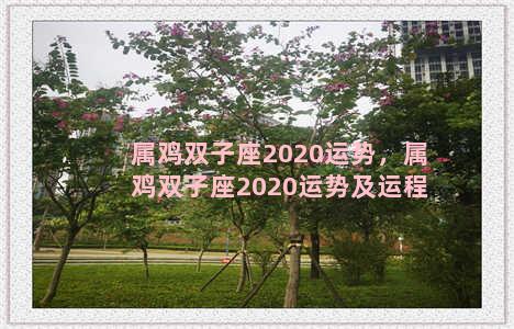 属鸡双子座2020运势，属鸡双子座2020运势及运程