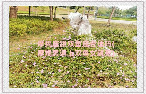 摩羯座跟双鱼座合适吗(摩羯男遇上双鱼女就死)