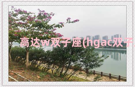 高达w双子座(hgac双子座高达)